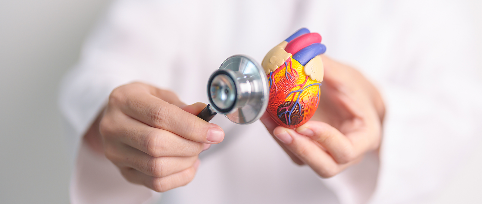 What Happens During a Cardiology Consultation in Serilingampalle?